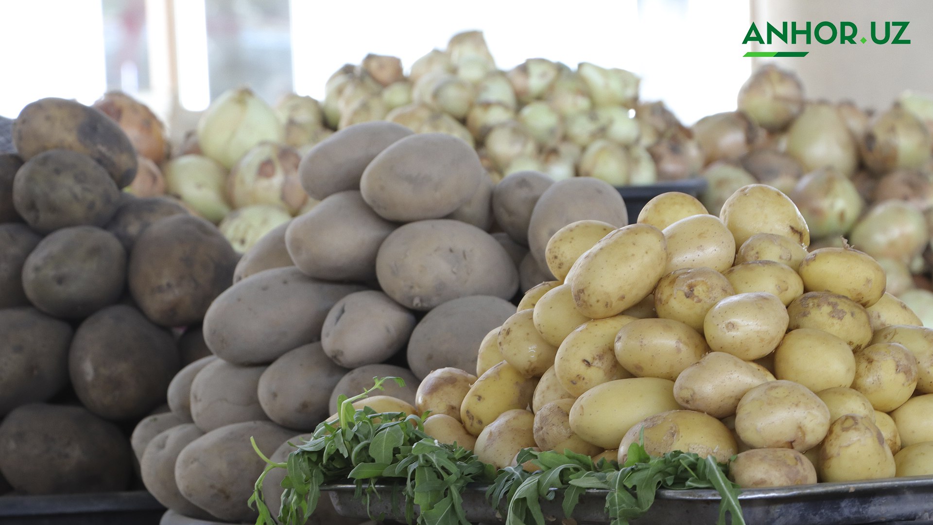 Самаркандская область стала лидером по выращиванию картофеля в Узбекистане С января по сентябрь 2025 года в Узбекистане во всех хозяйствах страны было произведено около 3 1 млн тонн картофеля Подробнее   anhor uz news potato anhoruz Новости события мнения Мобильное приложение IOS Android