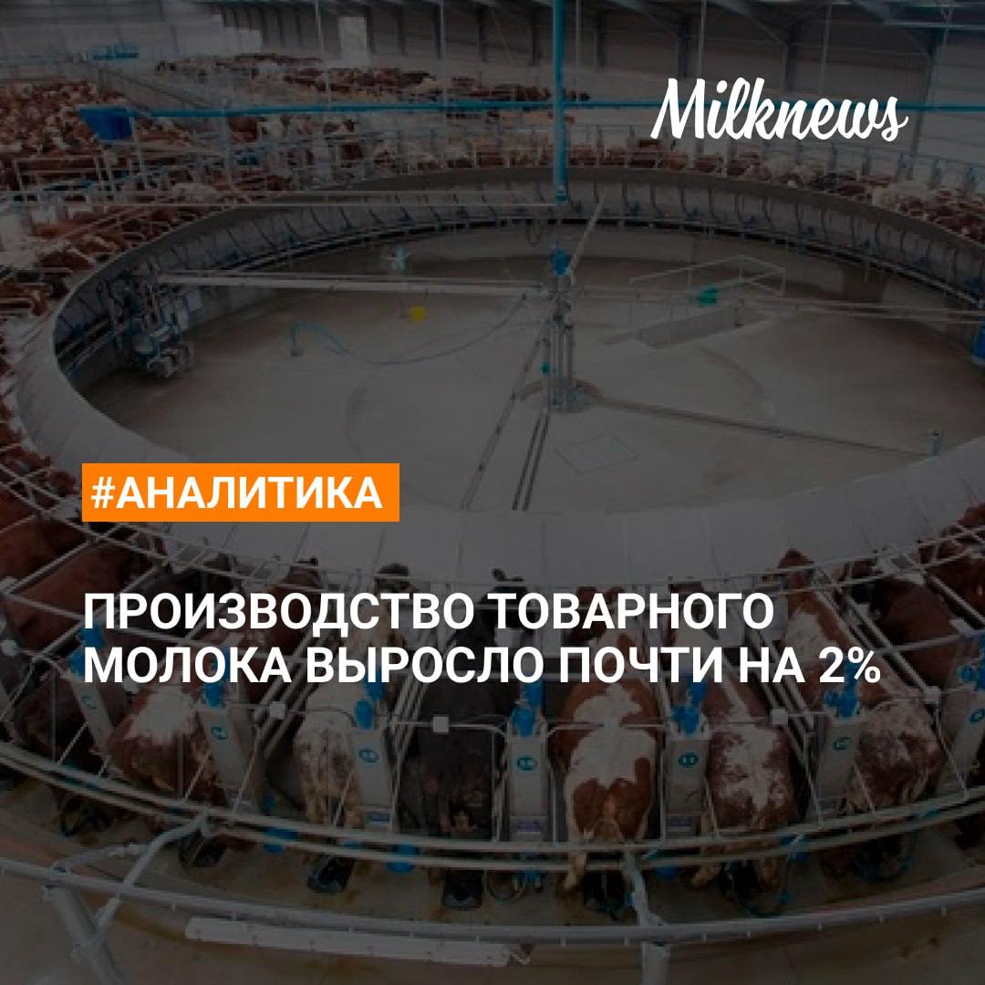 Производство товарного молока выросло до 24,2 млн т. в январе-ноябре 2024 года к уровню 2023 года.  В сельхозорганизациях производство выросло на 3,3%  +592 тыс. т  - до 18,4 млн т.  Основной прирост в сельхозорганизациях:   Республике Татарстан +75 тыс. т   Пензенской область +66 тыс. т   Республике Удмуртия +55 тыс. т  Валовое производство молока в хозяйствах всех категорий увеличилось в январе-ноябре 2024 года на 0,6% к уровню 2023 года, до 31,4 млн т    Подробнее