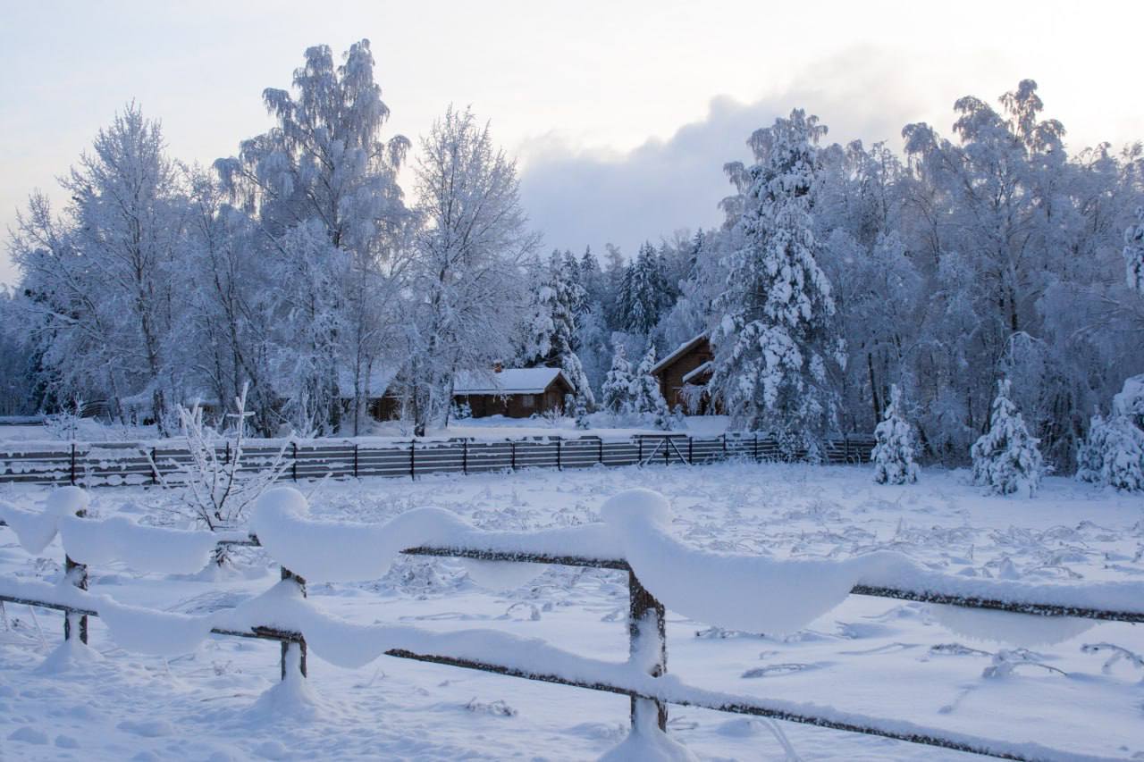 В Манско Уярском округе апгрейднули сеть МТС завершила здесь работы по запуску базовых станций современного стандарта 4G Более 20 тысяч жителей из 18 населенных пунктах округа получили доступ к высокоскоростной сети и устойчивой голосовой связи Цифровая инфраструктура улучшит качество жизни сельчан и откроет новые возможности для развития туризма Манско Уярский округ привлекает путешественников со всего края Так в зону нового покрытия вошли окрестности популярных пещер Большой Орешной и Баджейской куда из Красноярска постоянно прибывают организованные группы туристов krasnoyarsk