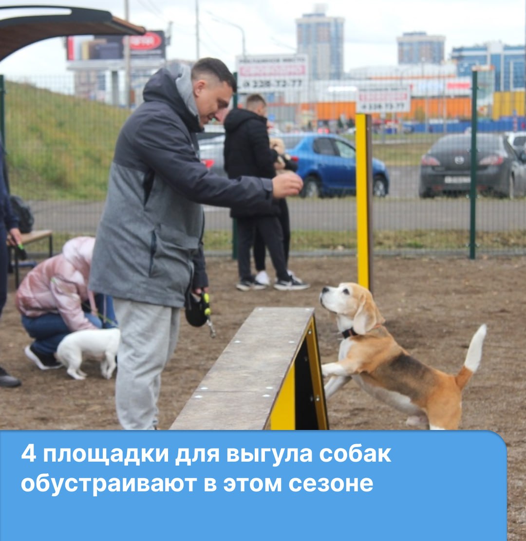 Продолжается благоустройство новых площадок для выгула и игр с собаками   На Металлургов, 16 уже установили ограждение, подготовили основание. Скоро на месте установят лавочки, урны и снаряды для игр с питомцами.   Площадка на Борисевича станет дополнением к скверу, который сейчас благоустраивают.    На площадке рядом с Даурской, 5 осталось установить ограждение и снаряды для занятий с животными.   Работы на площадке по адресу улица Матросова, 30к-30н начнутся после оформления земельного участка. На территории незаконно располагались гаражи.  Завершить все работы планируется осенью. Всего в городе 26 муниципальных площадок и 5 оборудованы за счёт инвесторов.