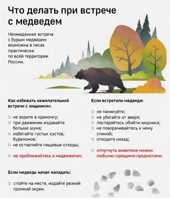 Жителей Трехгорного предупредили о блуждающем около города медведе!   Заметили косолапого в ночь на 4 августа на прилегающей к лесу территории между промышленными площадками.   ‼ Информация о животном появилась на официальном сайте органов местного самоуправления сегодня. Сообщается, что медведь был замечен в районе Приборостроительного завода.   - Все службы оповещены, проводятся работы по поиску и блокированию медведя. Просим вас проявить особую бдительность, - предупреждают в мэрии.    Людям рекомендовано исключить любые перемещения по лесу, ходить только по оборудованным тротуарам и автомобильным дорогам, а по возможности выходить на улицу с кем-то.   А вам приходилось сталкиваться с медведем в его привычной среде обитания?