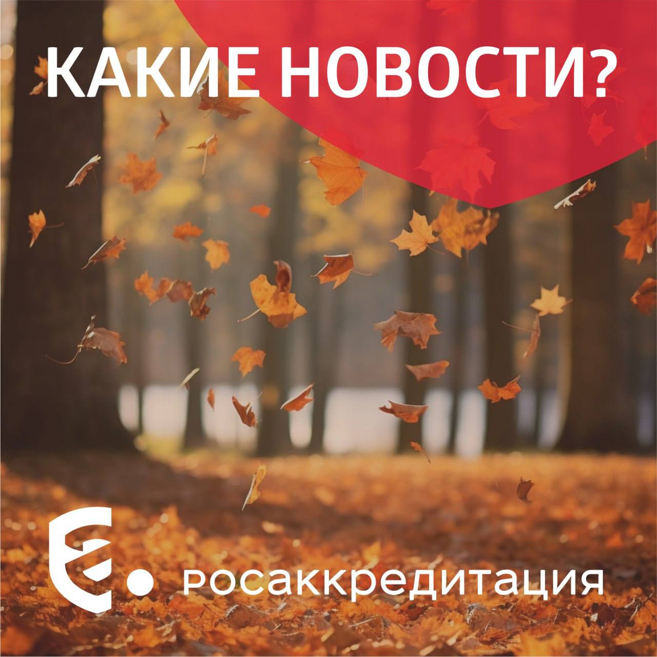 Какие новости Россияне назвали семейные автопутешествия основным форматом поездок по России Исследование показало что 62 процента опрошенных проводят такие поездки со своей парой 57 процентов планируют их совместно с супругами 43 процента берут с собой детей а 33 процента других членов семьи Россия и страны Африки выработают решения по обеспечению продовольственной безопасности В Эфиопии 300 экспертов обсудят продовольственную независимость Африки Российский рынок серого импорта на маркетплейсах оценен в 10 15 млрд Речь в основном о потребительских товарах из Китая которые селлеры на маркетплейсах и представители несетевой розницы ввозят в страну без оплаты пошлин и оформления документов В России обнаружили 148 обувных фирм однодневок При выездных проверках этих компаний комиссия не обнаружила ни оборудования ни персонала ни запасов готовой продукции а по части адресов и вовсе были пустыри Бизнес впервые допустивший нарушения по уплате налога на добавленную стоимость может быть освобожден от ответственности Предложение обсудили в контексте снижения порога доходов при котором требуется уплата НДС бизнесом