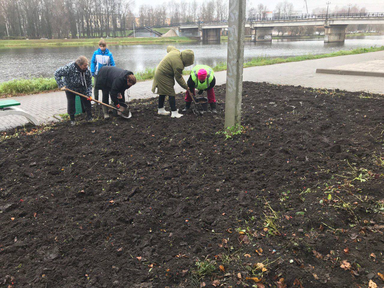 В Великих Луках начали высаживать тюльпаны  Городские клумбы уже готовят к весне. Началась высадка тюльпанов - планируется посадить более 20 тысяч луковиц. Весной взойдут цветы сортов Snow Lady, Roman Empire, Lalibela и Neper.    Фото: Великолукские новости