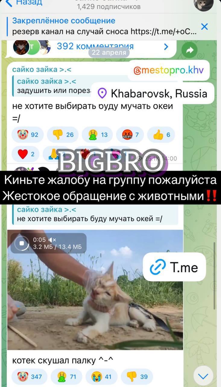 Фейк о хабаровской живодерке стремительно распространяется в соцсетях Массовые жалобы на живодерский Телеграм-канал распространяются в сети. Люди пишут, что малолетняя зоосадистка якобы из Хабаровска жестоко убивает животных, а потом публикует зверства. Местные паблики сразу подхватили новость, сообщив, что в городе завелась очередная живодерка. Однако это фейк. Пытали животных давно, не в Хабаровске и канал с точно такими же кадрами далеко не один. Стали свидетелем интересного? Присылайте инфо нам ПОДПИСАТЬСЯ НА ТОП