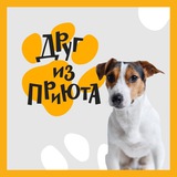 Аватар Телеграм канала: Друг из приюта FABERLIC