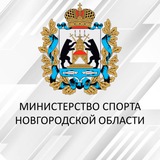 Аватар Телеграм канала: Минспорт53