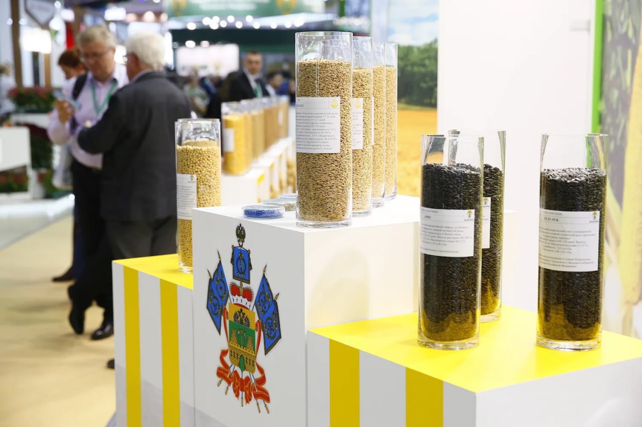 В 2026 году Кубань выделит более 80 миллионов рублей на создание перспективных гибридов яровых культур в рамках профильного нацпроекта В Тимирязев центр под руководством заместителя министра сельского хозяйства РФ Андрея Разина прошло Всероссийское агрономическое совещание Краснодарский край представил и о министра сельского хозяйства и перерабатывающей промышленности региона Федор Дерека Перед нами стоит амбициозная задача в разы повысить долю сева ключевых сельхозкультур отечественными семенами Аграрная наука достигла значительных высот и благодаря взаимодействию ученых с производством создаются действительно конкурентные селекционные разработки В этом году усилим работу в соответствии с задачами нацпроекта Технологическое обеспечение продовольственной безопасности Ученые и аграрии будут трудиться над созданием перспективных гибридов яровых культур На эти цели предусмотрели свыше 80 миллионов рублей что позволит существенно укрепить импортонезависимость и обеспечить продовольственную безопасность страны сказал Федор Дерека Читайте нас в МАХ