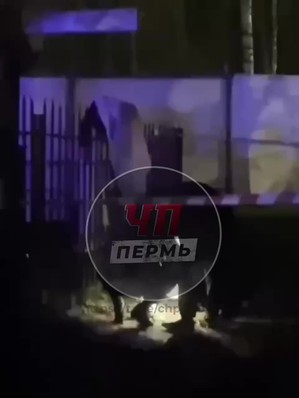 В Закамске на заборе найдено тело девушки: полиция проводит проверку