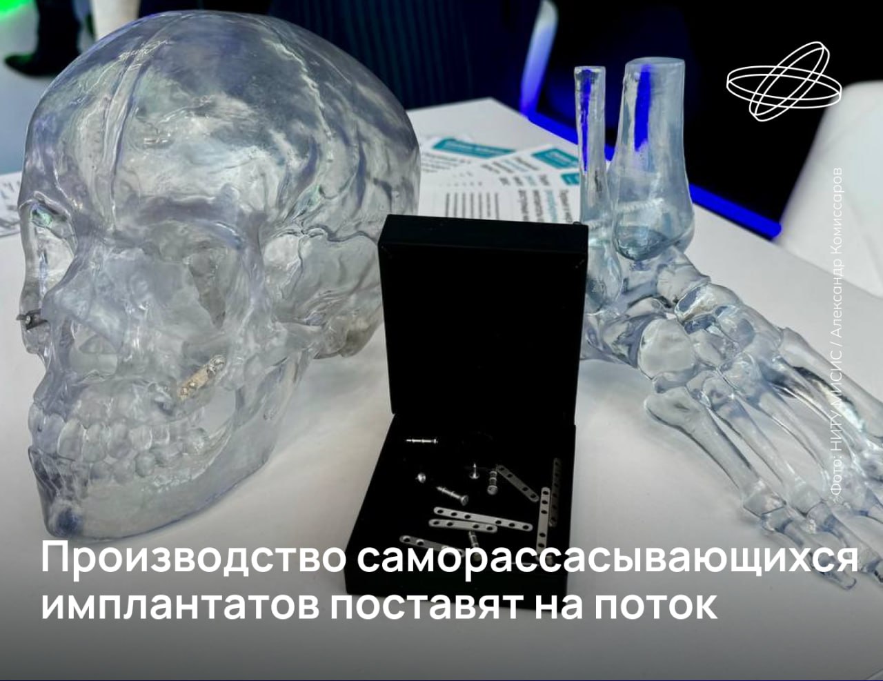Первую в России площадку по выпуску биорезорбируемых магниевых имплантатов для челюстно-лицевой хирургии и травматологии создали учёные НИТУ МИСИС. Биосовместимые магниевые сплавы, из которых сделаны имплантаты, растворяются с заданной скоростью, постепенно замещаясь костной тканью, что делает ненужной повторную операцию. Клиническая апробация саморассасывающихся имплантатов в Российском университете медицины Минздрава России подтвердила перспективность разработки, которая уже вызвала интерес в Индии, на Ближнем Востоке и в Латинской Америке. Наука.рф #Десятилетиенауки