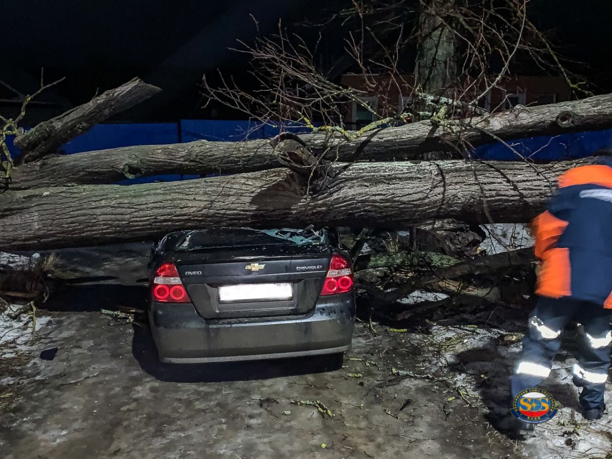 Автомобиль придавило деревом во Владимирской области    В деревне Новая Быковка дерево упало на машину. Ликвидировать происшествие отправилась дежурная смена спасателей.  ↗  Прислать новость   Подписаться