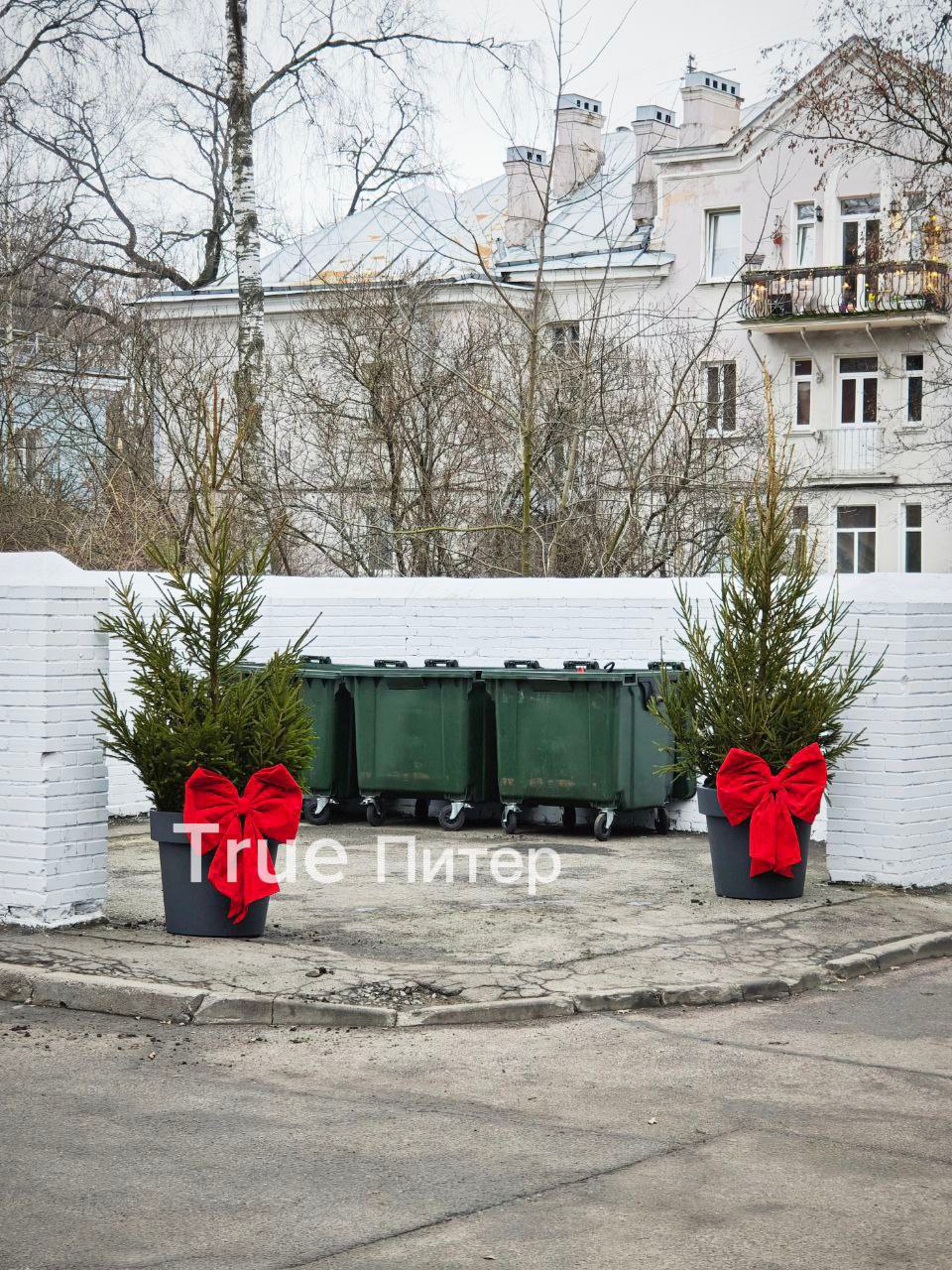 Праздничную мусорку заметили на Дибуновской Из за жалоб соседей жители дома не смогли украсить двор и разместили новогодний декор на контейнерной площадке True Питер