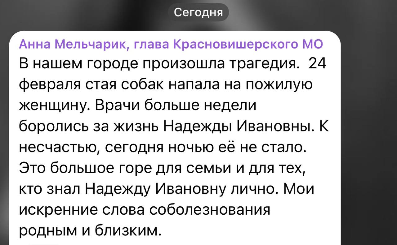 76-летняя пенсионерка из Пермского края скончалась в больнице после нападения собак. Врачи боролись за жизнь пострадавшей десять дней, но несмотря на усилия медиков, она скончалась в реанимации.  Жуткий инцидент произошел в Красновишерске еще 24 февраля. Там 9 бродячих собак внезапно напали на женщину, когда та возвращалась домой. Животные буквально разорвали её на части, а отогнать их смогли только прохожие. С многочисленными травмами пенсионерку доставили в больницу Соликамска, врачи оценивали её состояние как тяжёлое.  За судьбой пожилой женщины следил и переживал весь Пермский край. О трагичном исходе сегодня написала в своём телеграм-канале глава Красновишерского округа Анна Мельчарик, выразив соболезнования родственникам пенсионерки.   После происшествия прокуратура начала проверку, а следователи СК задержали руководителя МКУ Красновишерска, ответственного за отлов бродячих собак на территории округа. Возбуждено уголовное дело по факту халатности.    Телеграм-канал Анны Мельчарик  Как в Волгу глядели