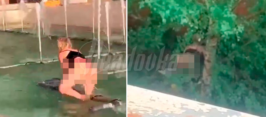В Новочеркасске треш-блогерша устроила перформанс с раздеванием и 18+ с курьером — девушка является местной знаменитостью и уже давно распространяет порнографию, но все еще ходит на свободе В Новочеркасске разыгралась постыдная картина, которая могла бы стать сюжетом для похабного анекдота. Местная студентка Аня, которую в городе знают как «треш-блогершу», решила, что прогулка у фонтана — слишком скучно. Она разделась догола и уселась на городской фонтан причинным местом — видимо, решила, что соберет таким образом подписчиков. На такое «выступление» пришли соответствующие зрители. В конце концов мигрант утащил ее в кусты, где «блогерша» добилась, чего хотела — кадрами поделились жители города, увидевшие это из своих окон. В сомнительных пабликах Новочеркасска Аня тоже обрела популярность — лежала в психбольнице и заявила, что против СВО и выступает за Украину: «Ты за Украину/Да-а/ Почему?/ Да я бу, ну просто». Ролики с «домашних тусовок», где девушка не стесняется раздеваться и раздевать других , уже облетели весь город — притом, как выяснила Readovka, кадры настолько жесткие, что вполне сойдут за создание и распространение порнографии. Знакомые утверждают, что Аня постоянно употребляет запрещенные вещества. Подобными выступлениями ее друзей уже не удивить, а вот мы удивляемся — как такое поведение в центре города до сих пор не привлекло внимания компетентных органов. В нашей стране уже есть ответственность за треш-стримы, но треш-блогеры по-прежнему «набирают подписоту», нарушая общественный порядок. Судя по всему, именно по этой причине девушка на свободе.