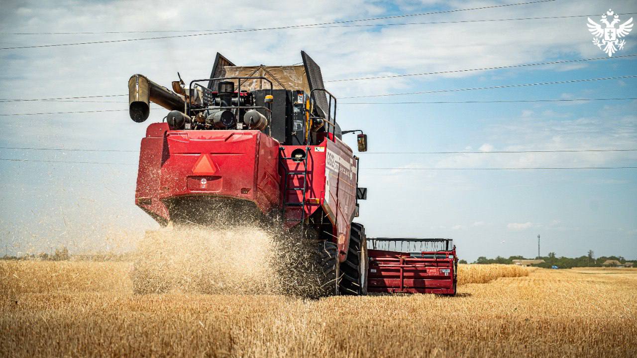 Новые меры господдержки появятся для аграриев Херсонской области Правительство Херсонской области с 2026 года вводит новые меры поддержки для сельхозпроизводителей О дополнении региональных программ помощи аграриям Херсонскому агенству новостей рассказала и о министра агропромышленного комплекса продовольственной политики и рыболовства Херсонской области Алиме Зарединова В перечень новых мер войдут гранты на развитие племенного животноводства включая компенсацию затрат на сохранение поголовья и приобретение молодняка Со следующего года у нас будут новые виды поддержки гранты Меры поддержки по племенному направлению например рассчитаны на сохраненное племенное поголовье и на приобретение племенного молодняка что позволит аграриям приобретать молодняк и увеличивать объемы производства как по мясу так и по молоку сообщила Алиме Зарединова Кроме того в 2026 году продолжится развитие сельских территорий Херсонской области По словам министра планируется строительство детских площадок ремонт амбулаторий и благоустройство парков в сельской местности Как отметила Алиме Зарединова в следующем году также продолжит действовать мера поддержки для сельхозпроизводителей которые хотят реализовать проекты по мелиорации позволяющая увеличить площади под орошение Сайт ВК ОК MAX Администрация Херсонская область VGA Kherson SALDO VGA