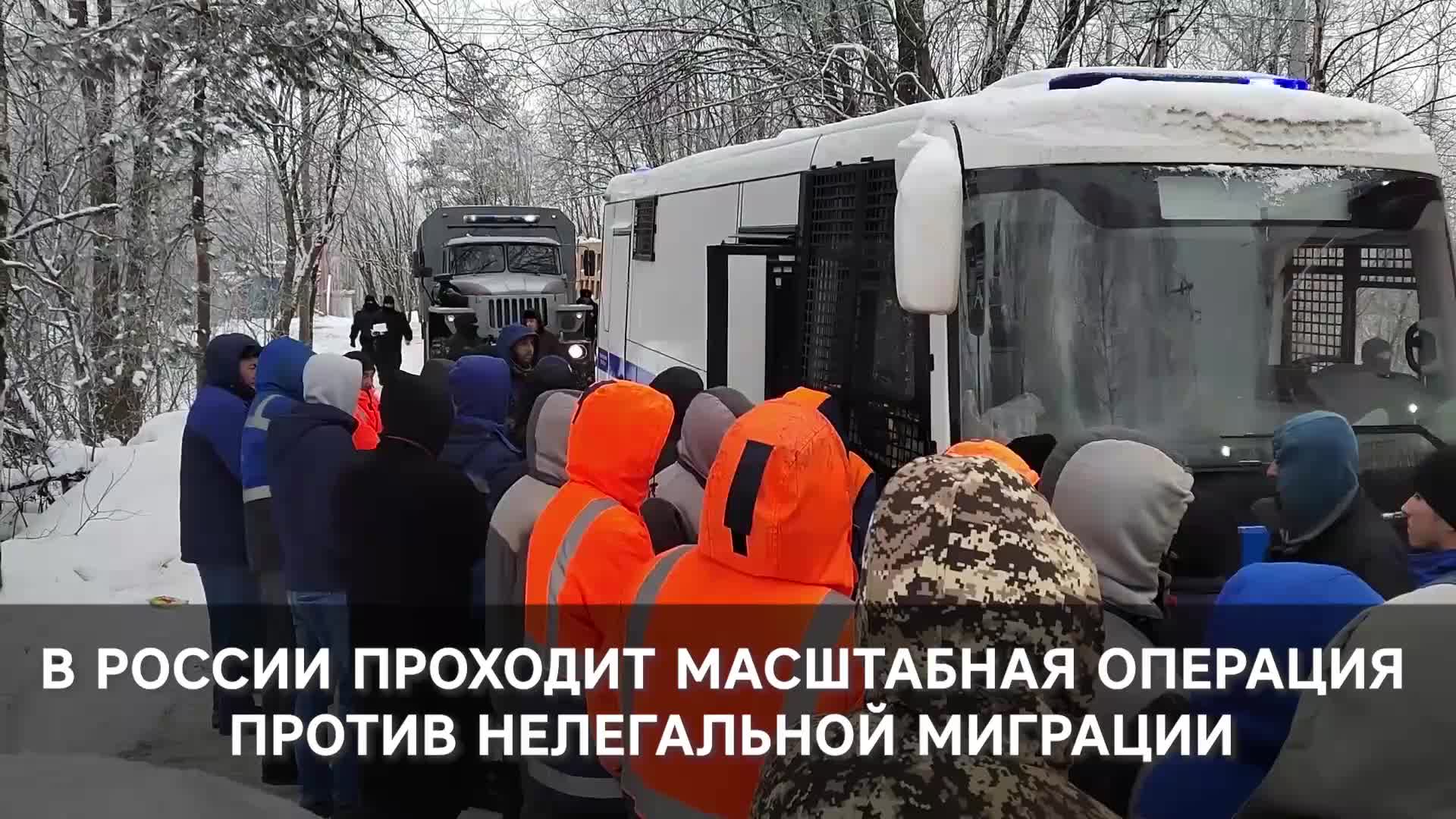 Госдума рассматривает законопроекты по регулированию трудовой миграции