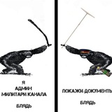 Чешир таежный и дело о мемах в заложниках