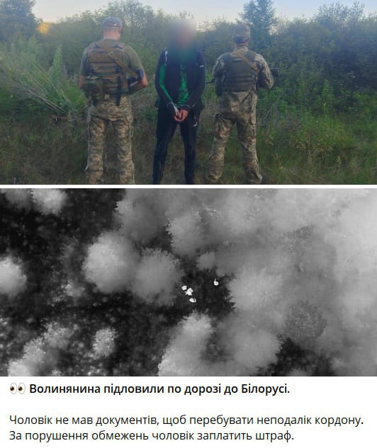 Украинские пограничники поймали опасного преступника: он слишком близко подошёл к границе с Белоруссией Очередной криминальный элемент задержан украинскими пограничниками на Волыни — мужчина оказался слишком близко к белорусской границе без нужных документов. За это тяжкое нарушение ему выписали штраф, страна может спать спокойно. А то мало ли, вдруг попытался бы покинуть райскую Украину — за такое преступление нет прощения! Енот из Херсона