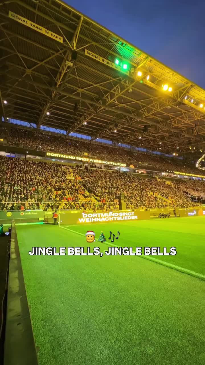 Фанаты Боруссии и жители Воронежа готовятся к новогодним праздникам