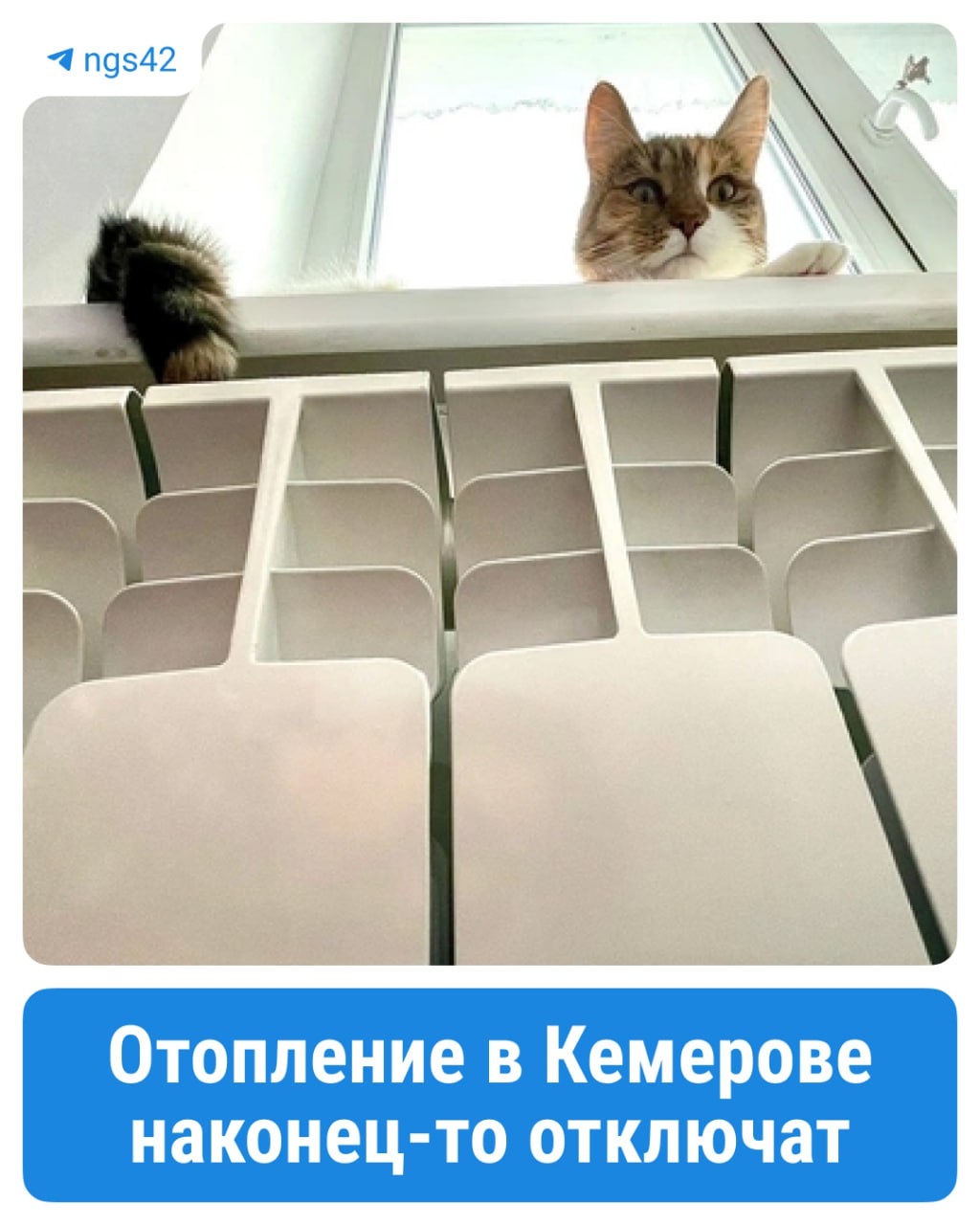 Отопительный сезон в Кемерове планируют закончить уже 15 мая Сезон продлится еще на несколько дней, так как с 12 по 14 число прогнозируются среднесуточные отметки ниже +8 градусов и дожди, сообщил Дмитрий Анисимов в соцсетях. В Новокузнецке батареи в домах и соцучреждениях станут холодными уже сегодня. ⏹ Подписаться Прислать новость