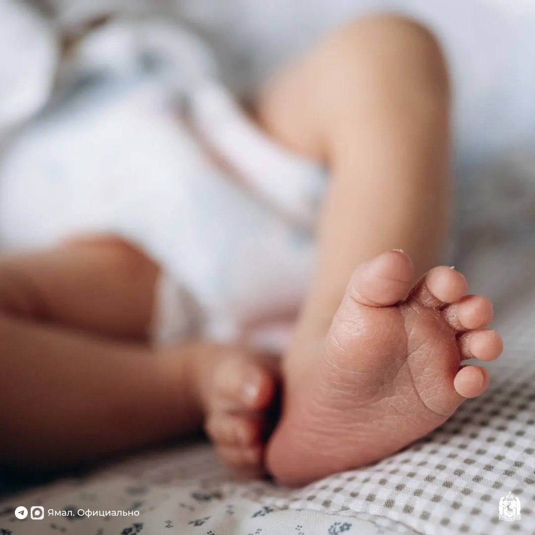 Как чаще всего называют детей на Ямале Окружная служба ЗАГС подвела итоги смотрим какие имена выбирали ямальские родители для новорождённых в 2025 году Самые популярные Топ 5 среди мальчиков Михаил Александр Дмитрий Артём и Лев У девочек фаворит многие годы имя София Также в лидерах Василиса Анна Ева и Виктория Редкие имена Мальчики Эдуард Анатолий Трофим Харитон Янислав Денислав Леонтий и даже Ямал Девочки Оксана Веста Элеонора Алевтина Августина Енисея Людмила Мирра Статистика за 10 лет Абсолютными чемпионами по популярности у ямальцев за 2015 2025 годы стали имена Артём Александр и София Каждым из них назвали более 1100 детей ЯМАЛ Официально Подписывайтесь на нас в MAX