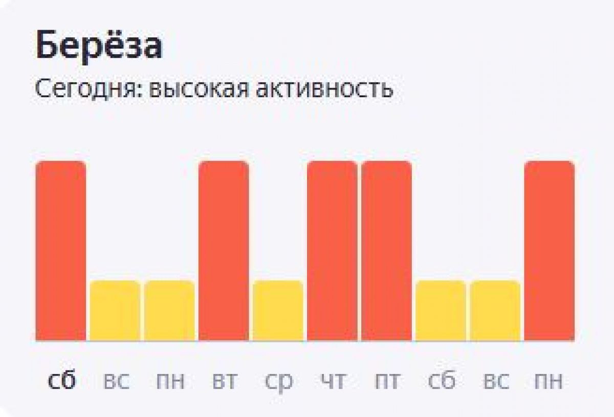 На следующей неделе ожидается повышенная активность пыльцы березы в Воронежской области На следующей неделе ожидается высокая активность пыльцы березы в Воронежской области. Уже сегодня, 3 мая воронежцы, страдающие от аллергии могут на себе ощутить ухудшение самочувствия. Следующие два дня уровень активности пыльцы снизится. Высокие риски аллергии прогнозируются во вторник, четверг и пятницу, 9 Мая. В регионе в эти дни будет наблюдаться повышенная активность березы. ↗ Прислать новость Подписаться