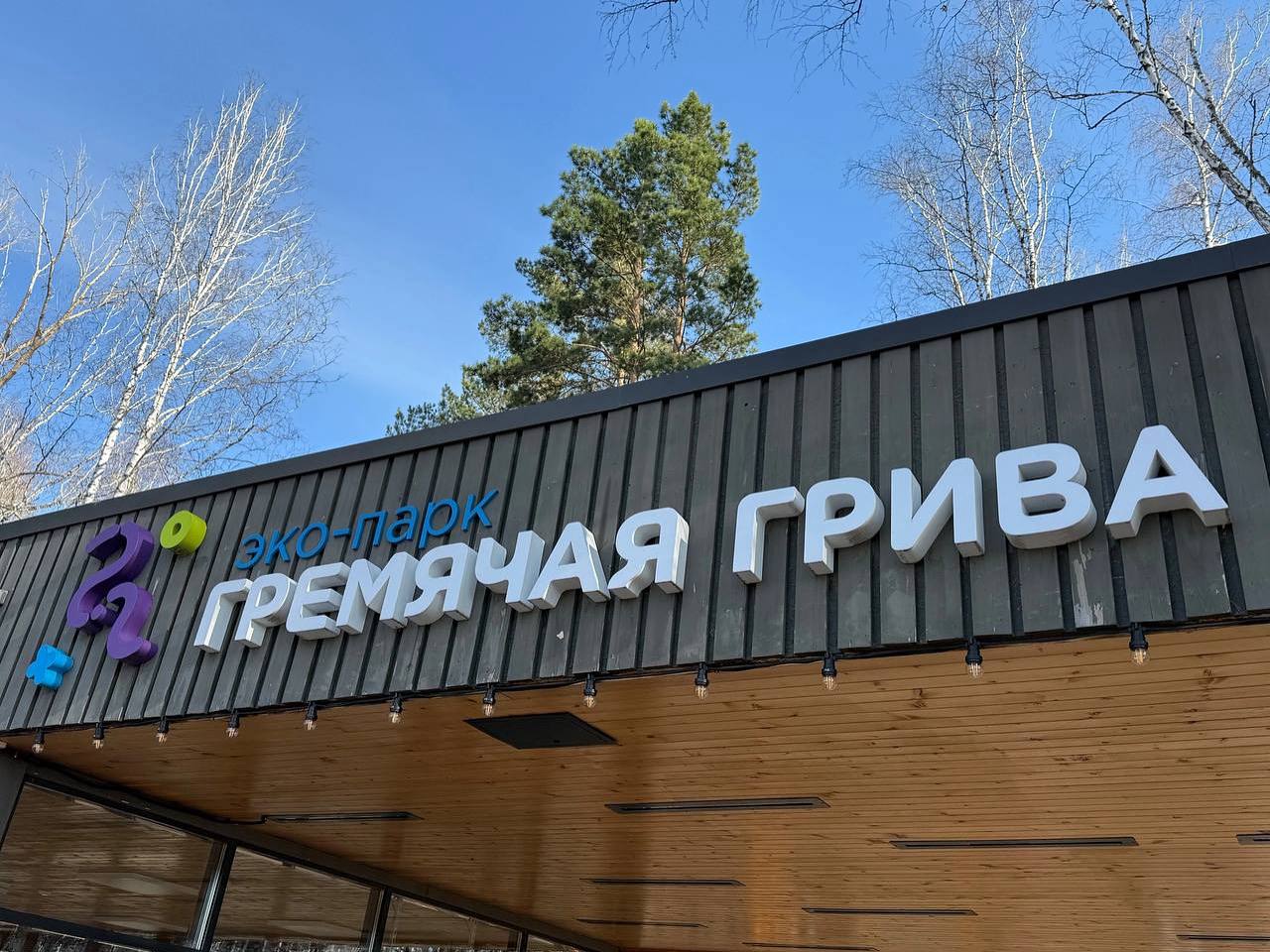 Гремячую Гриву обрабатывают от клещей: красноярцев просят воздержаться от прогулок. От насекомых также избавят Николаевскую сопку и Серебряный Лог Жителей Красноярска попросили воздержаться от прогулок завтра 13 мая в эко-парке Гремячая Грива. Об этом сообщили в пресс-службе парка. Территорию парка будут обрабатывать от клещей. Специальный состав распылят на дорожках от первого визит-центра до оврага, обработают спортивные и детские площадки. Также средства против членистоногих разбрызгают на территории вокруг визит-центра в Серебряном Логу и на смотровой площадке на Николаевской сопке. В этот день горожан просят не гулять на обработанных локациях, чтобы избежать риска отравиться едкими химикатами. Ровно месяц назад обработку от клещей провели на красноярском острове Татышев. А недавно житель Канска решил самостоятельно бороться с опасными кровососущими и ради этого устроил крупный ландшафтный пожар. trk7.ru