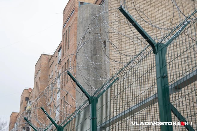 Фигурант уголовного дела, приморец, который подозревается в нанесении смертельного удара живодеру, продолжает ждать конца расследования в СИЗО. С момента происшествия прошло почти 2 месяца, петиция в его защиту набрала 28 тысяч подписей. Напомним, что инцидент случился в начале июня 2025 года, ранним утром, на даче, где находилась семья подозреваемого, включая троих маленьких детей, внезапно раздался вой собаки. Дети, услышав его, бросились на помощь. Они обнаружили в гараже измученное животное с многочисленными ранами и сломанной челюстью. Мужчина немедленно отправился на поиски хозяина собаки, хотел ее выкупить. По словам очевидцев, им оказался местный житель, на участке его дома нашли другую мёртвую собаку и шкуры животных. Между мужчинами возник конфликт. Потеряв самообладание, подозреваемый нанёс несколько ударов погибшему. По словам свидетелей, тот еще оставался в сознании и продолжал выкрикивать угрозы. Однако вскоре он скончался. Узнав о смерти хозяина собаки, приморец сам явился в полицию и признался в преступлении. Уголовное дело по статье 111 часть 4 УК РФ причинение тяжкого вреда здоровью, повлекшее смерть было возбуждено сразу после его добровольной явки. Подписаться