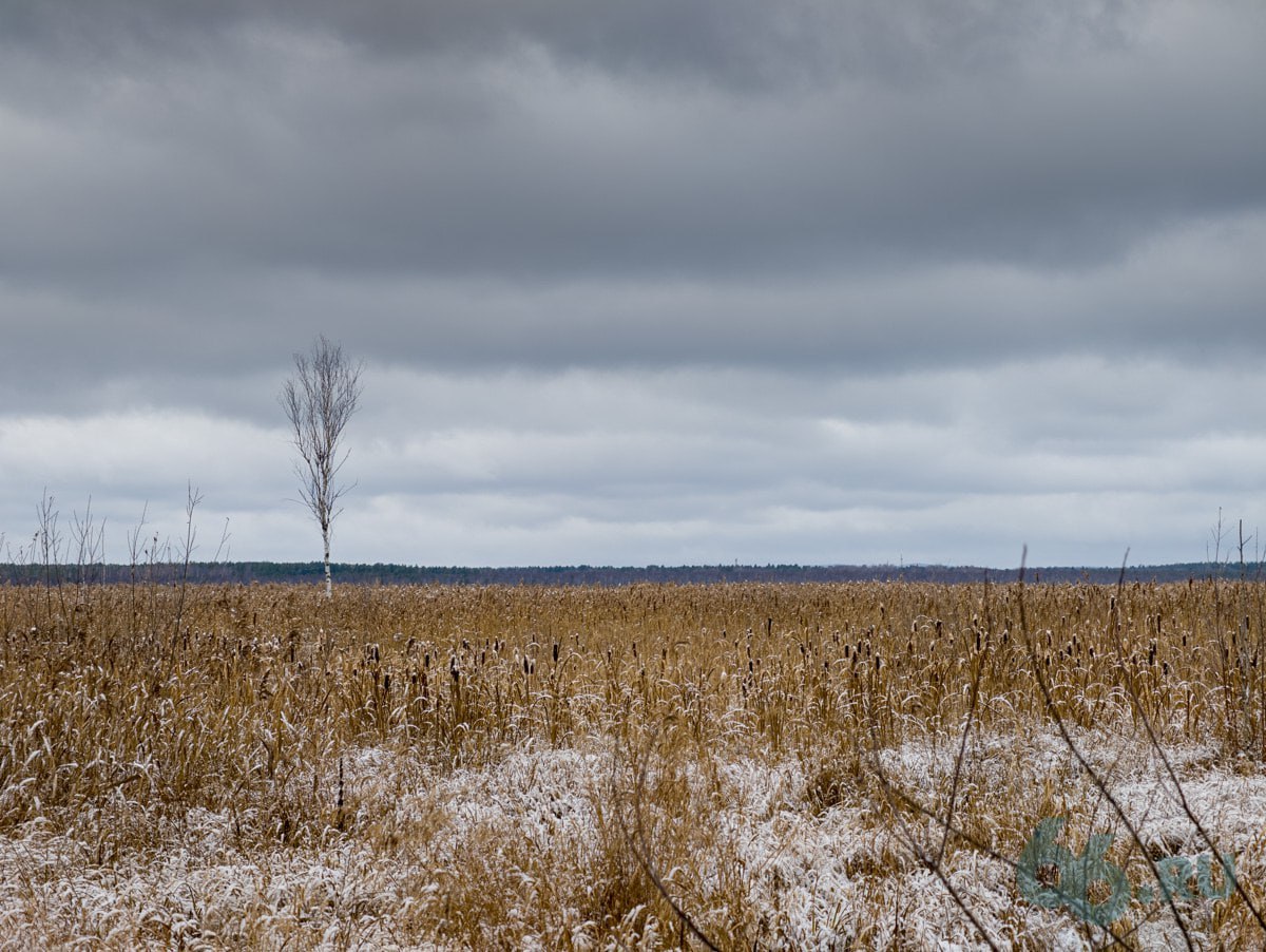 Изъять активы Атомстройкомплекса потребовала генпрокуратура Предварительное заседание по иску прошло в Верх Исетском суде Екатеринбурга Корреспондент 66 RU попытался попасть на слушания но их закрыли от прессы Речь идет не о национализации компании а лишь ее некоторых активов Ведомство намерено забрать землю в Среднеуральске у Корпорации Атомстройкомплекс Компании Атомстройкомплекс Специализированного застройщика Южный Берег конечные владельцы Валерий Ананьев и Павел Кузнецов и 11 физических лиц В списке также есть имя полного тезки бывшего вице мэра Среднеуральска Александра Астахова В 2016 году Верхнепышминский городской суд обвинил в злоупотреблении должностными полномочиями Астахова и бывшего председателя комитета по управлению муниципальным имуществом Сергея Петрова Было установлено что чиновники продавали по заниженной стоимости участки площадью более 530 тыс кв м Позже землю купили новые собственники но по рыночной цене Ущерб муниципалитету и области тогда оценили более чем в 90 млн рублей   на связи в TG MAX VK