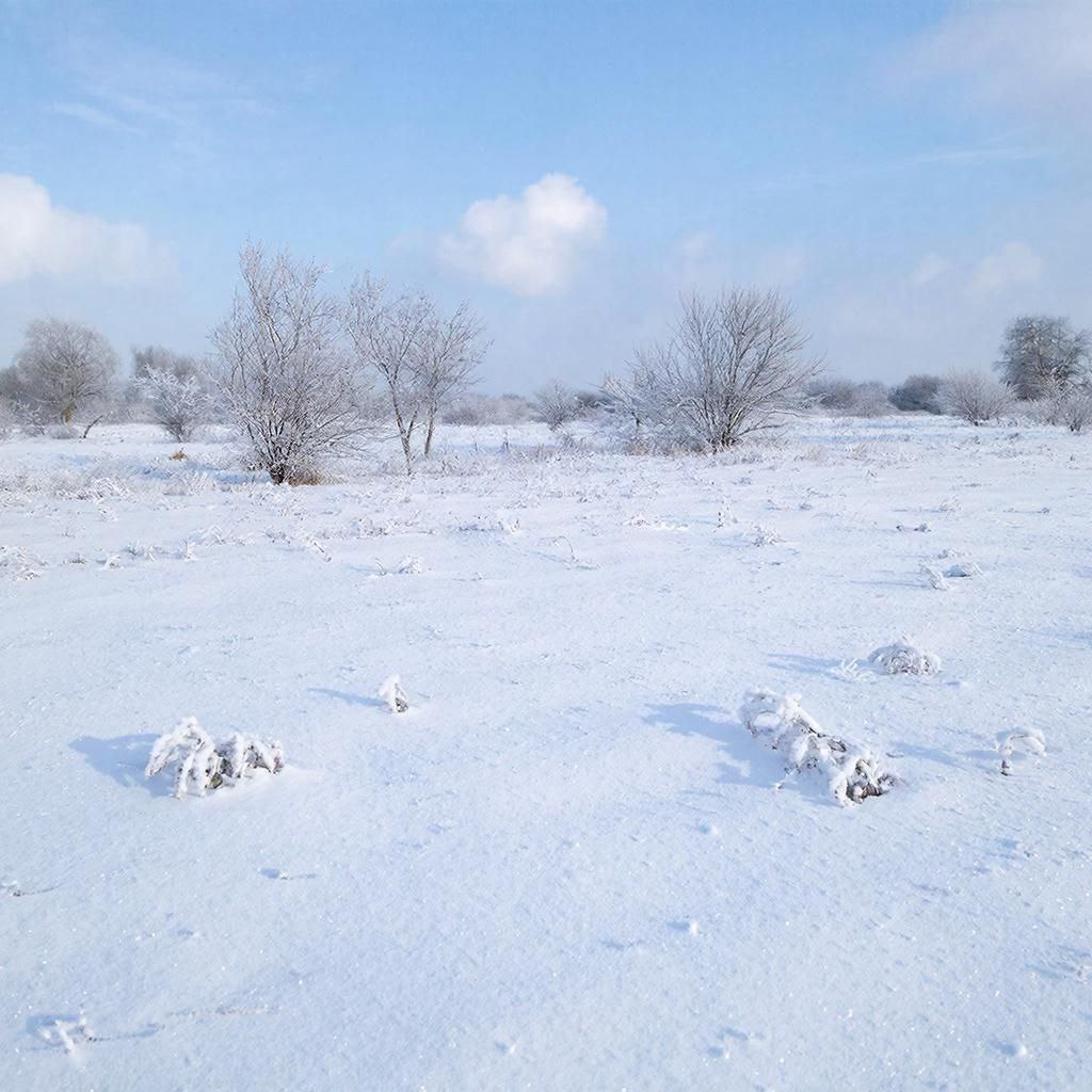 Прокуратура Приморья через суд вернула госсобственность на 1 6 млрд По решениям судов в бюджет взыскано около 1 7 млрд руб неосновательного обогащения при сделках с недвижимостью Среди резонансных дел возврат более 6 млн квадратов на острове Путятин земель в бухте Троицы и участка в порту Посьет который ранее раздали без законных оснований Государству также вернули санаторно курортный комплекс Садгород а в селе Оленье предотвратили продажу 2 4 га по цене в разы ниже рыночной сказано в сообщении Также из чужого владения истребовано 9 объектов недвижимости общей площадью около 2 га и 19 земельных участков площадью 72 5 га Их совокупная стоимость превышает 167 млн руб