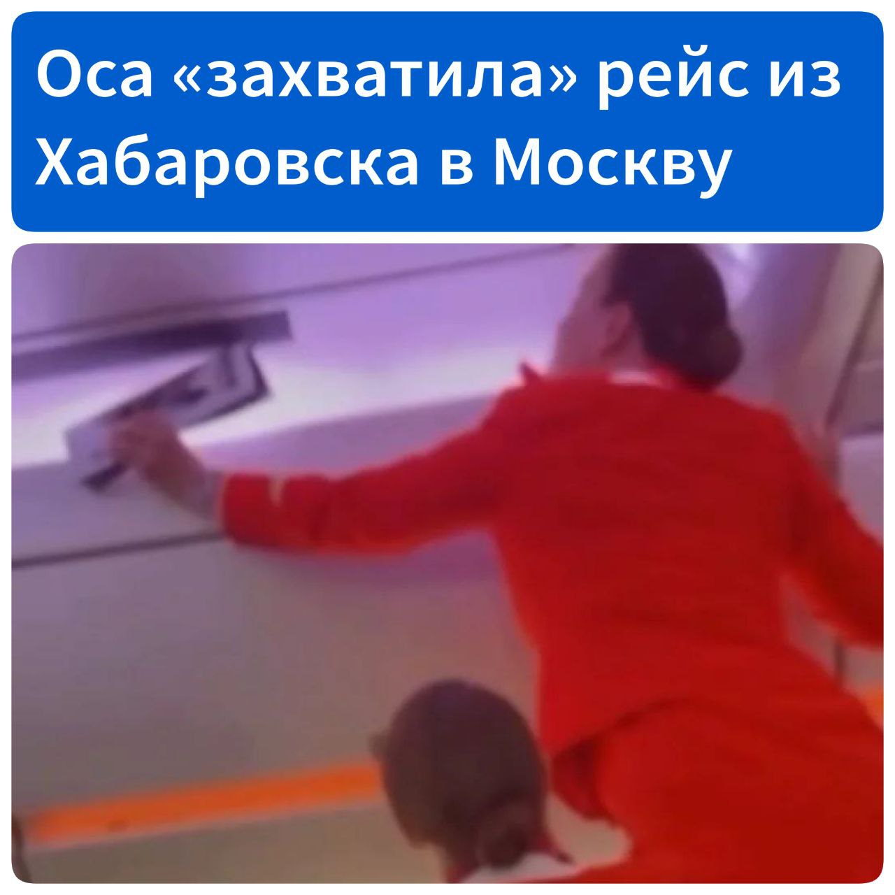 Оса «захватила» рейс из Хабаровска в Москву, но её обезвредили В Хабаровске рейс был задержан на 40 минут после того, как на борту самолёта была обнаружена оса. Экипаж и пассажиры совместными усилиями пытались поймать насекомое, понимая, что наличие осы в замкнутом пространстве самолёта — серьёзная опасность. Укус осы может вызвать анафилактический шок у людей с аллергией, а в воздухе помочь пострадавшему невозможно. Источник - АиФ