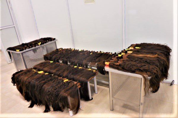 Необычный багаж пыталась вывезти иностранка из Дубая: в аэропорту Волгограда задержали женщину с 40 кг волос. По оценкам экспертов, стоимость товара, который надо было декларировать, может превышать 4 млн рублей, сообщили в ФТС России.