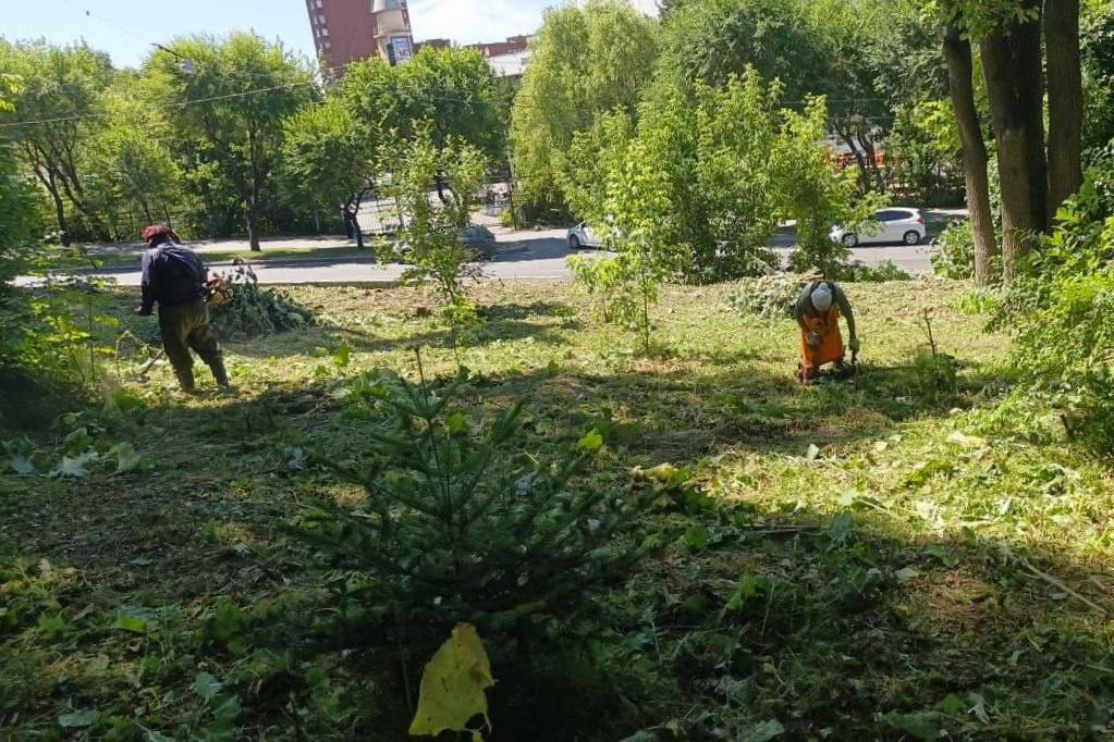 Городские службы привели в порядок газоны в Покровском парке. Также по городу помимо покосов на постоянной основе идёт формовочная обрезка деревьев и кустарников. Это придаёт зелёным насаждениям эстетичный вид и препятствует зарастанию дорожек. Крупные сорняки убирают вручную, среднюю и мелкую траву скашивают газонокосилкой. Далее траву сгребают с помощью граблей и мётел и увозят с территории.