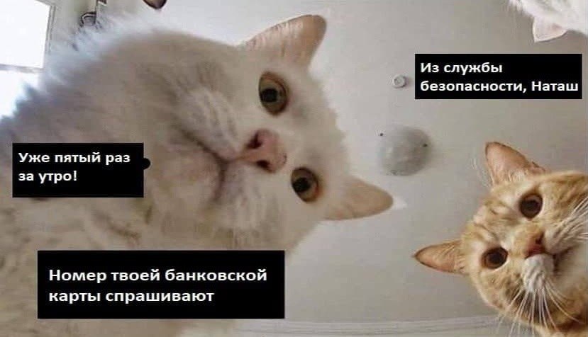 Мошенники позвонили жительнице Махачкалы более 8 тысяч раз Атаку зафиксировали в преддверии Нового года Целью аферистов стала 33 летняя женщина Звонки начали поступать во второй половине декабря в среднем около 368 попыток в сутки Пик активности пришелся на последнюю неделю перед праздниками Несмотря на такое упорство дальнейшие попытки мошенников смогли пресечь и заблокировать системой защиты рассказал директор продукта Защитник компании МТС Андрей Бийчук Аналитики уточняют что в предновогодний период злоумышленники совершили свыше 260 тысяч нежелательных звонков по всей стране Наиболее часто атакам подвергались жители Москвы Краснодара и Санкт Петербурга Подписаться на truekpru Читать нас в MAX