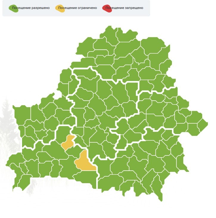 В Беларуси ввели первые в 2025-м ограничения на посещения лесов  Они коснулись лесов в Лунинецком и Ляховичском районах Брестской области.