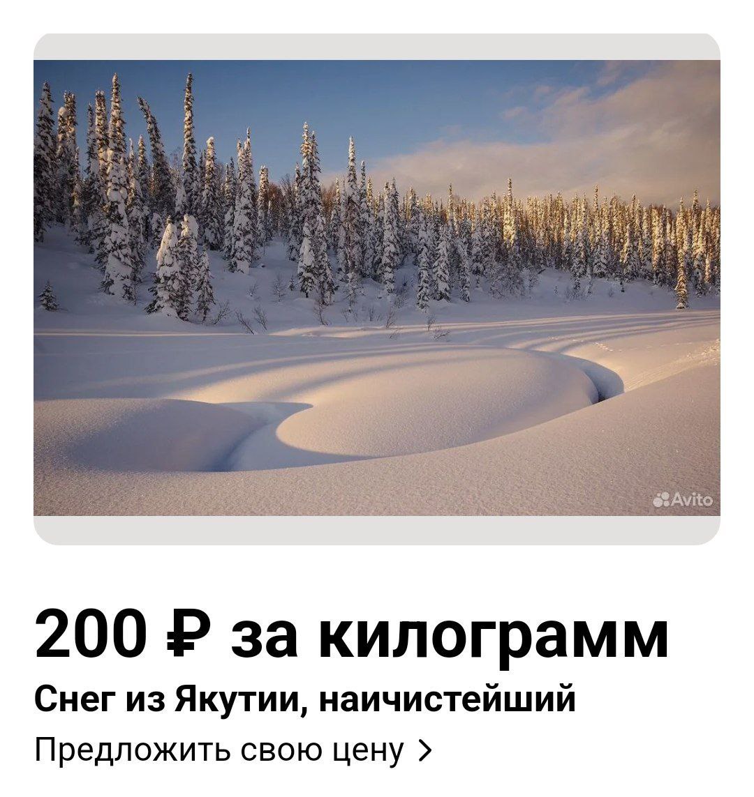 В Москве начали продавать снег из Якутии — по 200 рублей за килограмм. Объявления от столичной компании нашли на Авито.   По заверению продавца, это чистейший, безопасный снег из далеких лесов Якутии. Судя по количество просмотров, «заказать кусочек зимы» хотят многие москвичи.  Темщики уже вышли собирать снег во дворе.