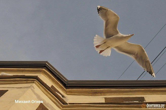 До весны меньше недели чувствуете В Петербурге сегодня 3 5 градусов Ожидается преимущественно облачная погода без существенных осадков Дарим iPhone 17 PRO Telegram Все каналы Фонтанки Max