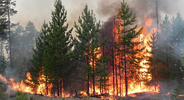 В Томской области с начала пожароопасного сезона произошло 130 пожаров. Об этом сообщили в томской лесной службе. Всего от огня пострадало 1334,24 гектара. Было уничтожено 552 гектара леса. 40 пожаров произошли из-за удара грозы, два случая были после перехода огня с линейных объектов, 88 случаев из-за нарушения правил пожарной безопасности. 96,92% всех возгораний были потушены оперативно. #томск