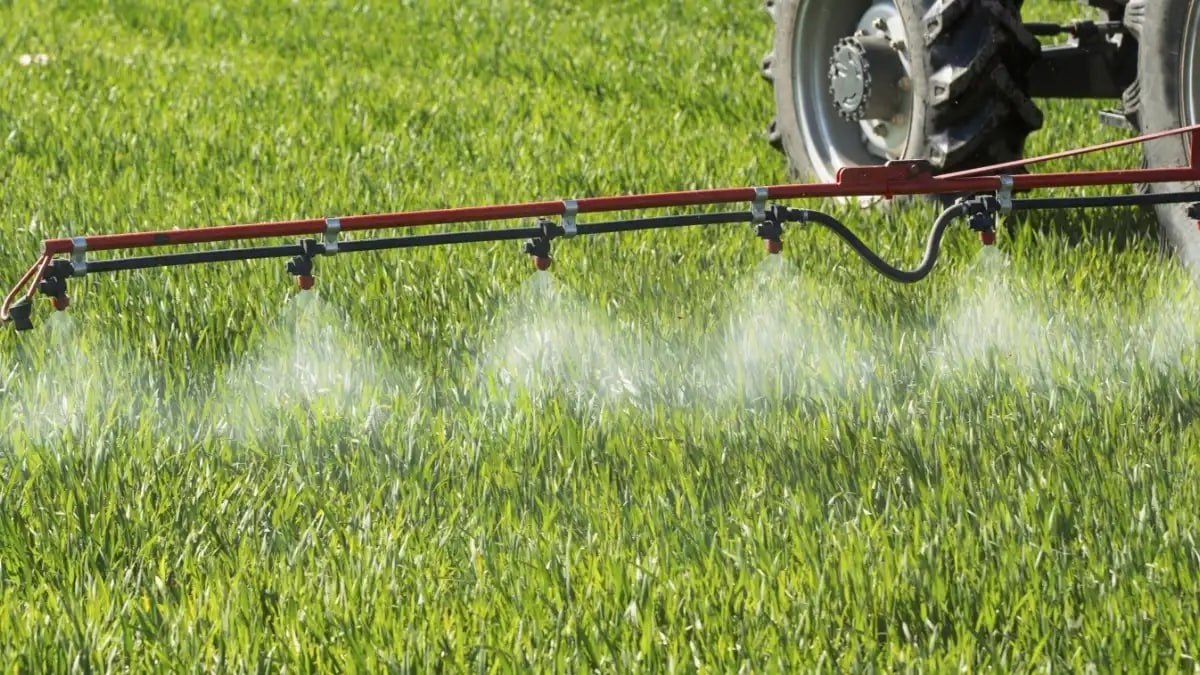 Процесс госрегистрации пестицидов и агрохимикатов в РФ будет усовершенствован Комитет Совета Федерации по аграрно продовольственной политике и природопользованию поддержал важный законопроект направленный на модернизацию системы государственной регистрации пестицидов и агрохимикатов Об этом сообщил председатель комитета Александр Двойных в своем Telegram канале Инициатива призвана сделать процедуру более эффективной и прозрачной Ключевые нововведения Четкий реестр Все сведения о пестицидах и агрохимикатах будут вноситься в единый реестр только после обязательных регистрационных испытаний и экспертизы регламентов их применения Это гарантирует что к использованию будут допущены только проверенные и безопасные средства Долгосрочная регистрация Срок действия госрегистрации будет увеличен до 10 лет Это стабилизирует работу производителей и аграриев позволяя им увереннее планировать свою деятельность Улучшенный контроль Законопроект конкретизирует понятия для усиления прослеживаемости партий подкарантинной продукции и определяет состав данных которые будут размещаться в Федеральной государственной информационной системе Аргус Фито Главные цели реформы   Усилить государственное регулирование в сфере карантина растений  Не допустить на внутренний рынок подсанкционные и небезопасные товары  Минимизировать риски распространения на территории России опасных вредителей и заболеваний Минсельхоз АПК СельскоеХозяйство Пестициды Агрохимикаты Законодательство ПродовольственнаяБезопасность СоветФедерации