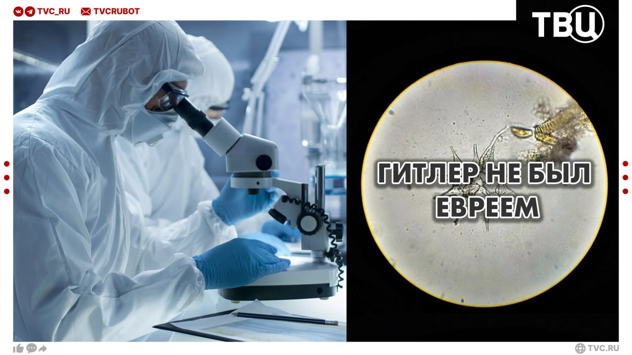 Гитлер не еврей На развеивание мифа британским ученым потребовалось почти 100 лет Эксперты исследовали ДНК и выяснили что фюрер не имел еврейских корней Тесты также показали что Гитлер входил в 1 людей с самым высоким риском развития аутизма и шизофрении Как рассказал ТВЦ историк Константин Залесский британские ученые занимаются пустой тратой времени ради грантов Теории заговора которые всегда будут по поводу того что Гитлер уехал в Антарктиду и Гитлер был евреем примерно одного пошиба Никогда это серьезно не рассматривалось отметил эксперт Подписаться на ТВЦ в MAX А вы верите в мифы Да многие невозможно опровергнуть Нет это всё бред