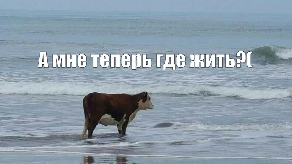 В России новый тренд — отели в коровниках Старые коровники еще советских времен переоборудуют. Есть несколько объектов. Понятно, что там по СанПиНу, и все что требуется, соблюдается. Но когда в них зайдешь, — и не поймешь, что это коровник, поскольку там красиво сказала глава Минсельхоза Оксана Лут. Отели-коровники, новостройки-свинарники, что дальше? Движение.ру