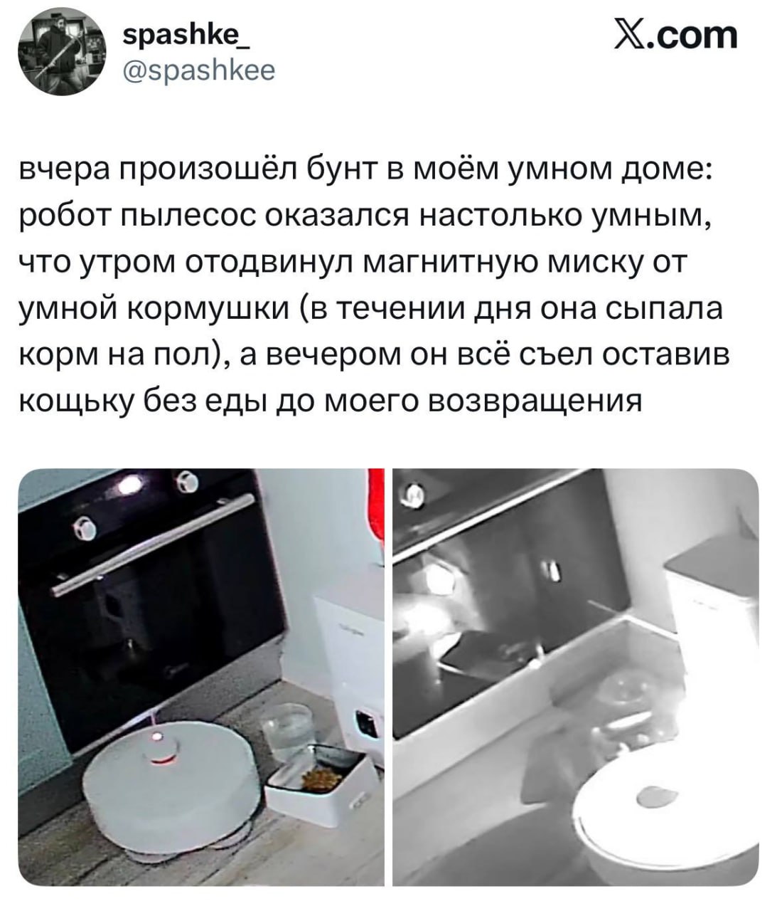 Внимание роботы официально восстали против кошек Распространите предупредите techmedia