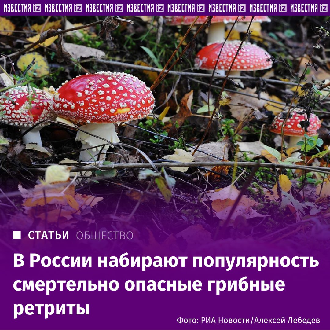 В разных регионах России набирают популярность опасные грибные ретриты Их участникам предлагают попробовать мухоморы и другие вызывающие галлюцинации вещества Известия нашли организаторов массовых и опасных грибных ретритов расследование редакции Известия выяснили что такие ретриты проводят в Карелии Крыму Краснодарском крае Тульской Ленинградской и Московской областях Корреспонденты издания посетили под видом участников один из таких ретритов в Подмосковье О том кто стоит за их организацией читайте в эксклюзивном материале Известий Больше новостей тут МАХ Отправить новость