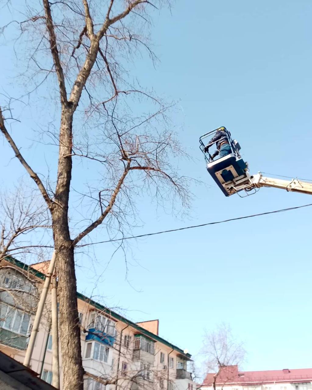 Краснодарские спасатели сняли с дерева кота Кузьму  Любопытный Кузьма сбежал из теплой квартиры многоэтажки на улице Гагарина и по каким-то причинам вскарабкался на дерево рядом с домом. Слезть на землю кот уже не смог, как его не выманивали хозяева.  После пары дней жалобного мяуканья позвонили спасателям.  Спасатели приехали и с помощью мехруки спустили Кузьму с высоты.  Уже всё у всех хорошо!  Хороший Краснодар   Подписаться