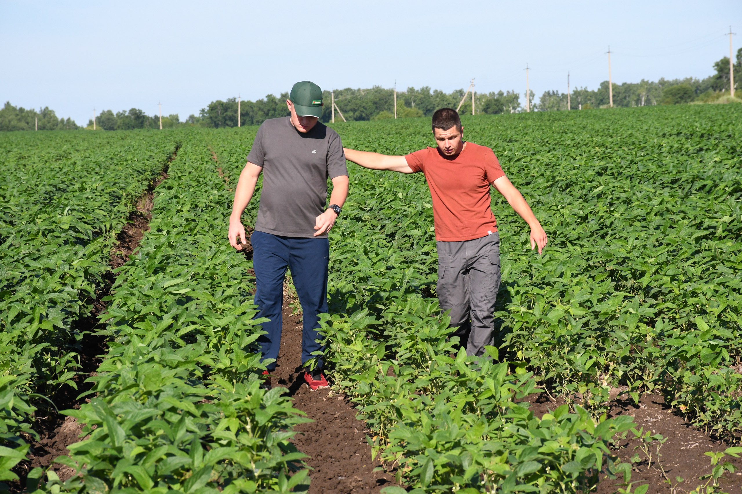 Василий Орлов Рекорд в сельском хозяйстве аграрии собрали 1 7 миллиона тонн сои ОтчётГубернатора2025 ПриамурьеИтоги2025