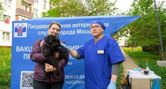 В столице началась сезонная программа бесплатной вакцинации домашних животных Москвичи в рамках сезонной программы могут сделать бесплатную вакцинацию домашних питомцев от бешенства в прививочных пунктах, столичных государственных ветклиниках или на дому. Отмечается, что в столице заработали временные прививочные пункты рядом с площадками для выгула собак. Вакцинация будет доступна для собак, кошек, хорьков и енотов. Для проведения вакцинации владельцам необходимо взять с собой ветеринарный паспорт питомца, чтобы врач проставил все необходимые отметки.