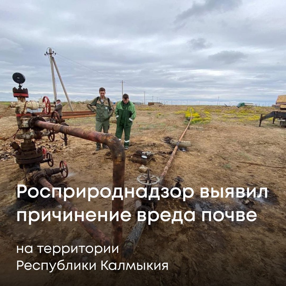 Нижне Волжское межрегиональное управление Росприроднадзора провело плановую выездную проверку в рамках земельного контроля в отношении ЗАО Ильменскнефть В ходе проверки с привлечением специализированной лаборатории ФГБУ ЦЛАТИ по ЮФО специалисты обследовали производственные площадки предприятия провели осмотр земельных участков выполнили площадные измерения и отобрали пробы почвы По результатам проверки установлено что на трех месторождениях допущено загрязнение почв Общая площадь нарушенных земель составила 145 кв метров Размер причиненного почвам вреда рассчитан и составляет 1 156 369 рублей В адрес ЗАО Ильменскнефть выдано предписание об устранении выявленных нарушений Юридическое и должностное лица привлечены к административной ответственности сумма штрафа составила 250 тысяч рублей Также компании направлены требования о добровольном возмещении причиненного вреда В случае невозмещения ущерба в установленный срок Росприроднадзор оставляет за собой право обратиться в Арбитражный суд Республики Калмыкия Подписывайтесь на Росприроднадзор в МАХ