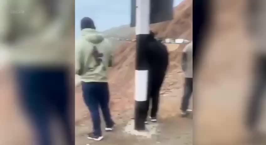 Трагедия в Перу: 37 человек погибли в результате падения автобуса с обрыва