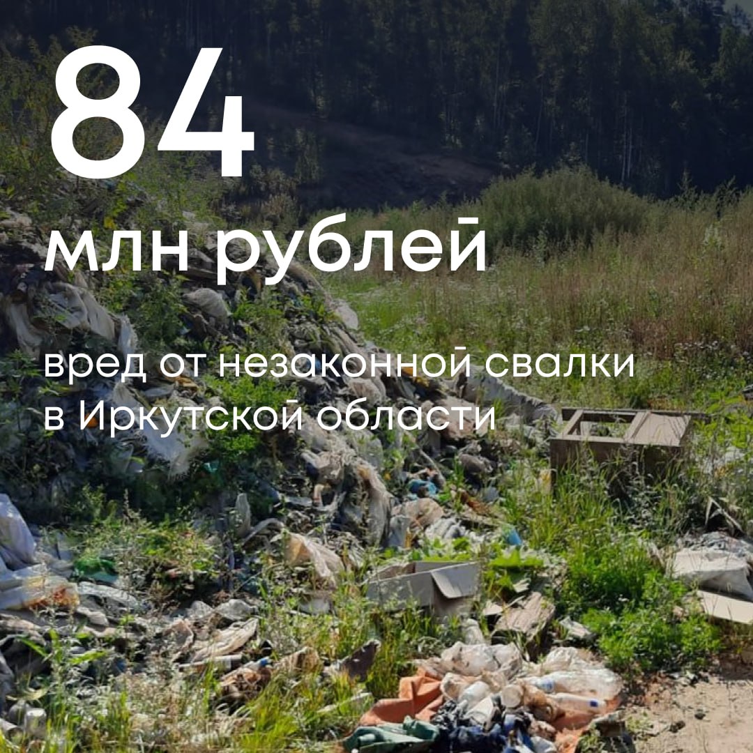 Арбитражный суд удовлетворил требования Росприроднадзора о взыскании 84 млн рублей с Республиканского агентства лесного хозяйства за ущерб, причиненный почвам в Иркутской области. В 2023 году специалисты провели обследование в районе поселка Турка в центральной экологической зоне Байкальской природной территории. Там была обнаружена незаконная свалка отходов. Рассчитанный ущерб составил более 84 млн рублей. Добровольно сумма не была возмещена. Суд обязал нарушителя компенсировать вред в полном объеме.