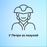 Аватар Телеграм канала: У Петра за пазухой | Питер