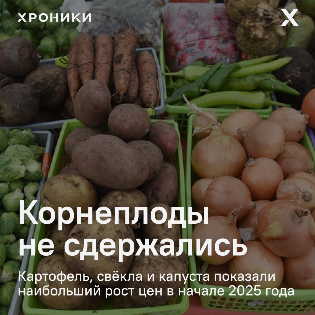 Цены на ряд социально значимых продуктов в Петербурге резко выросли за первый квартал 2025 года, сообщает Петростат. Больше всего подорожал картофель — +38% За ним — свёкла +21% и капуста +20% Рост цен эксперты связывают не только с инфляцией, но и с возможной спекулятивной наценкой. В городе обсуждают идею обязать магазины открыто указывать, сколько они накручивают на продукты первой необходимости. Пока что это только предложение. А рост — уже в чеке. Поддержать нашу работу